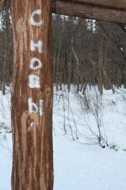 Размещенное изображение